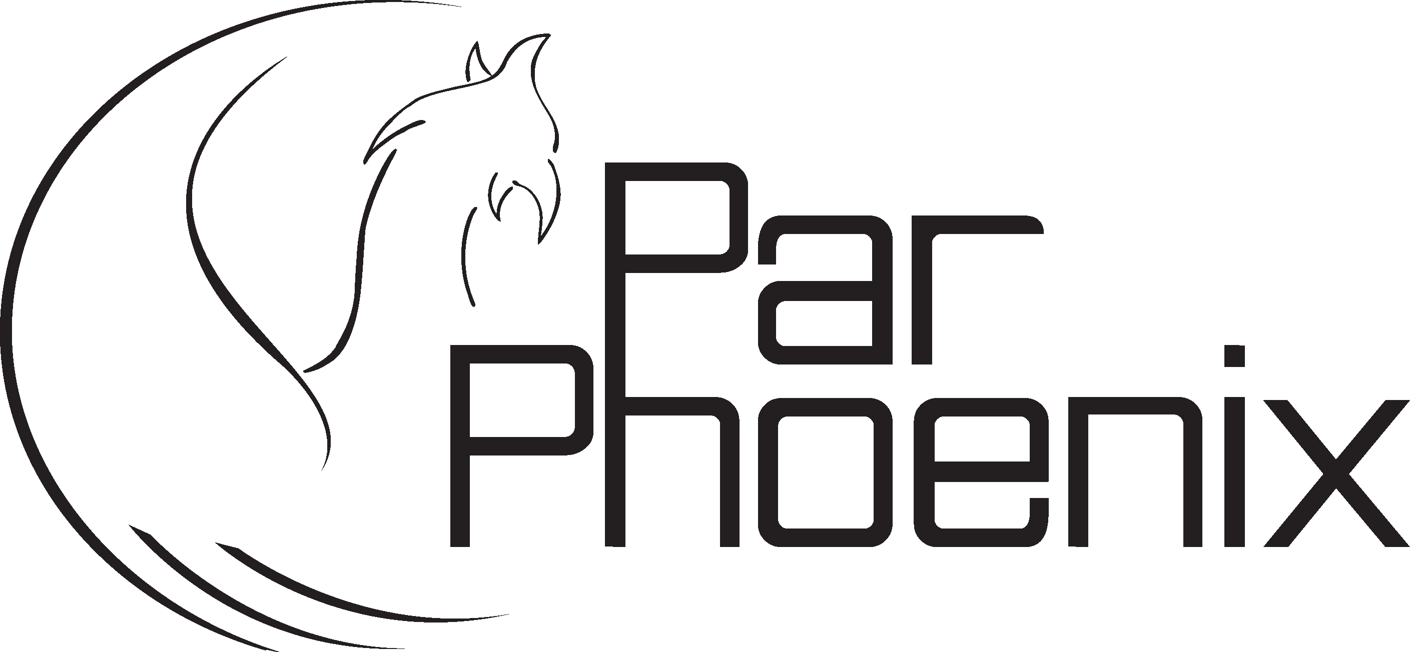 LOGO PAR TRASPARENTE2