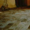 Par Phoenix realizzazioni